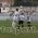 Παναγροτικός – Αναγέννηση Άρτας 0-4